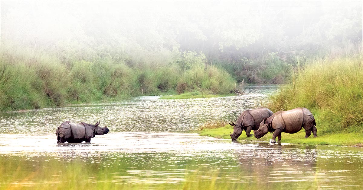 Bardiya National Park